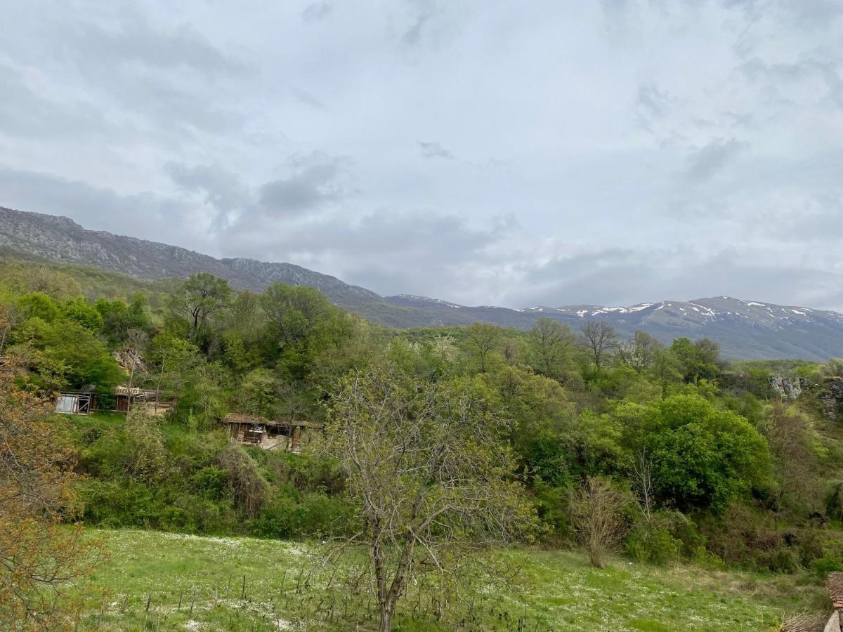 Villa Koceski Peštani Buitenkant foto